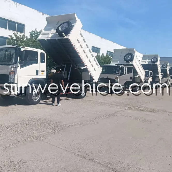 HOWO 4X2 2080 8-Ton Dump Truck